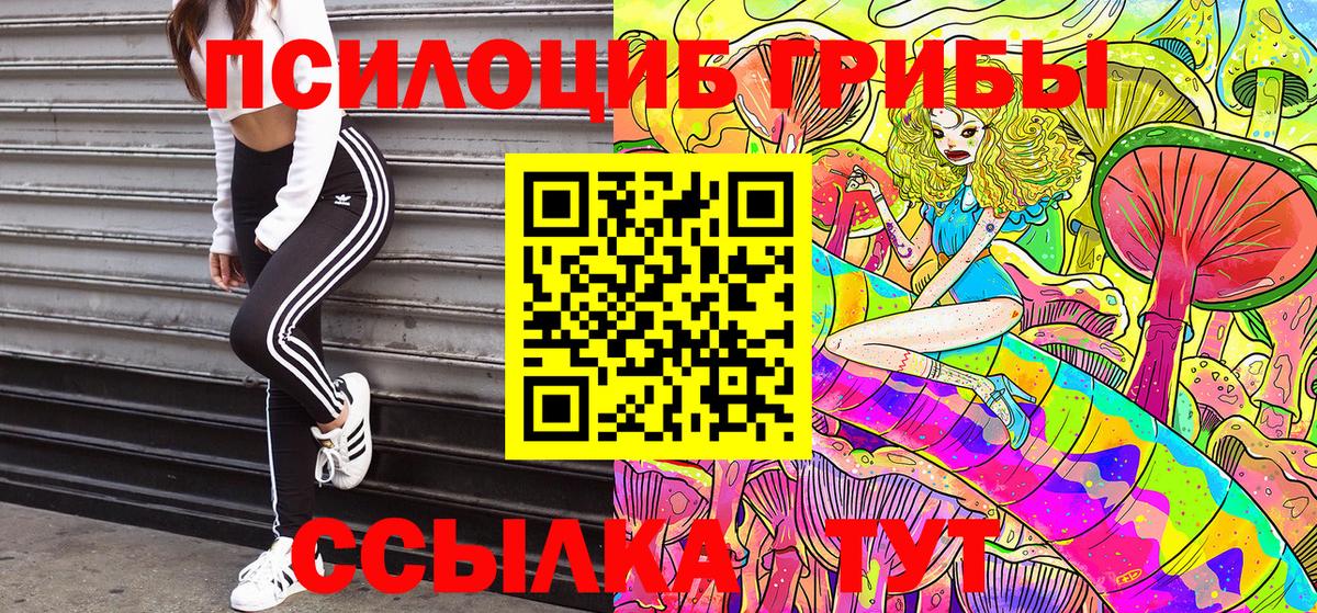 Лесосибирск  Галлюциногенные грибы прущие грибы  Вход с VPN  Псилоцибиновые грибы Psilocybe 